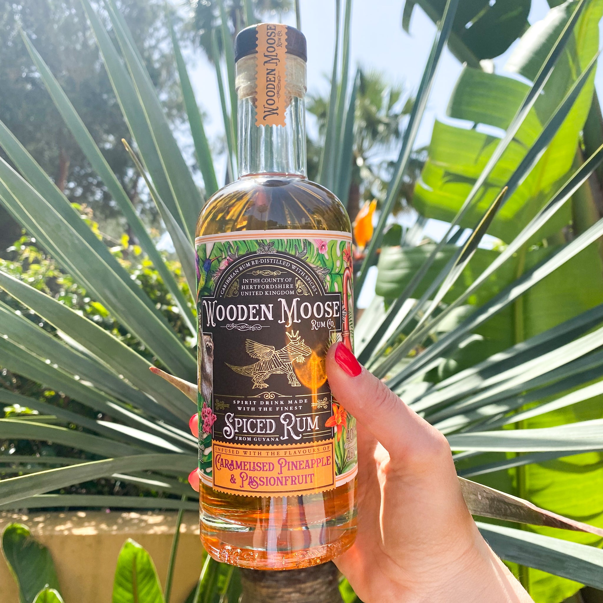 IMG_6313_2048x.jpg?v=1683889673